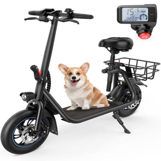 450W Electric Scooter