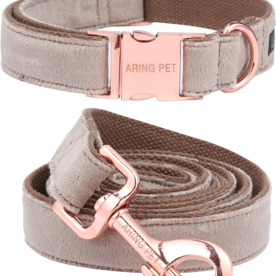 Dog Collar and Leash