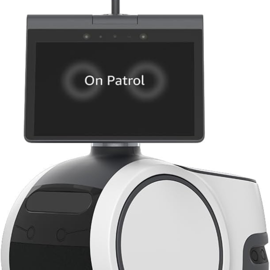 Mobile Security Robot
