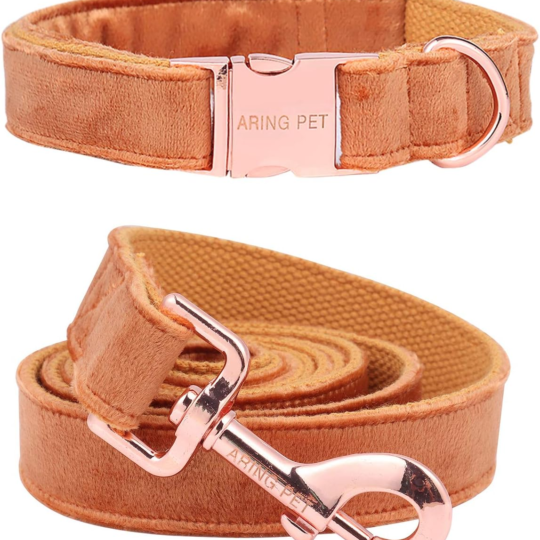 Dog Collar and Leash