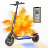 800W Electric Scooter