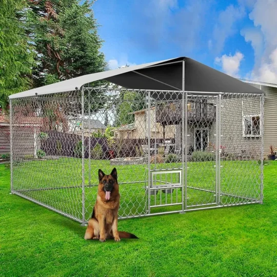 Dog Kennel Outdoor