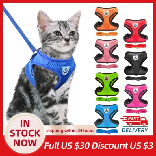 Cat Harness