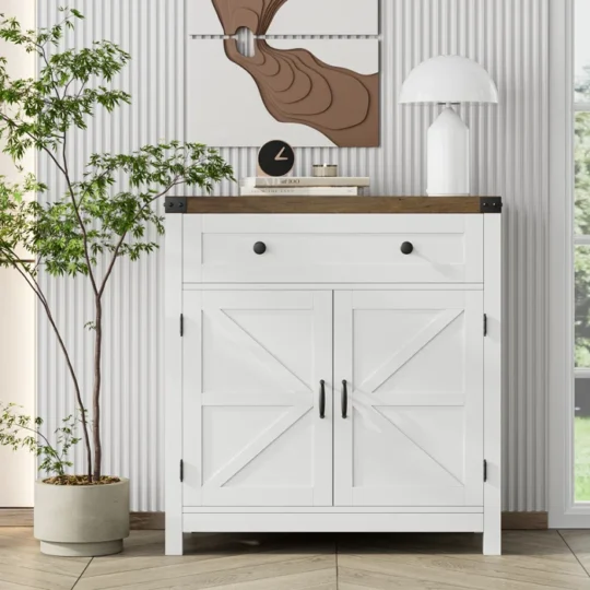 White Accent Door Cabinet